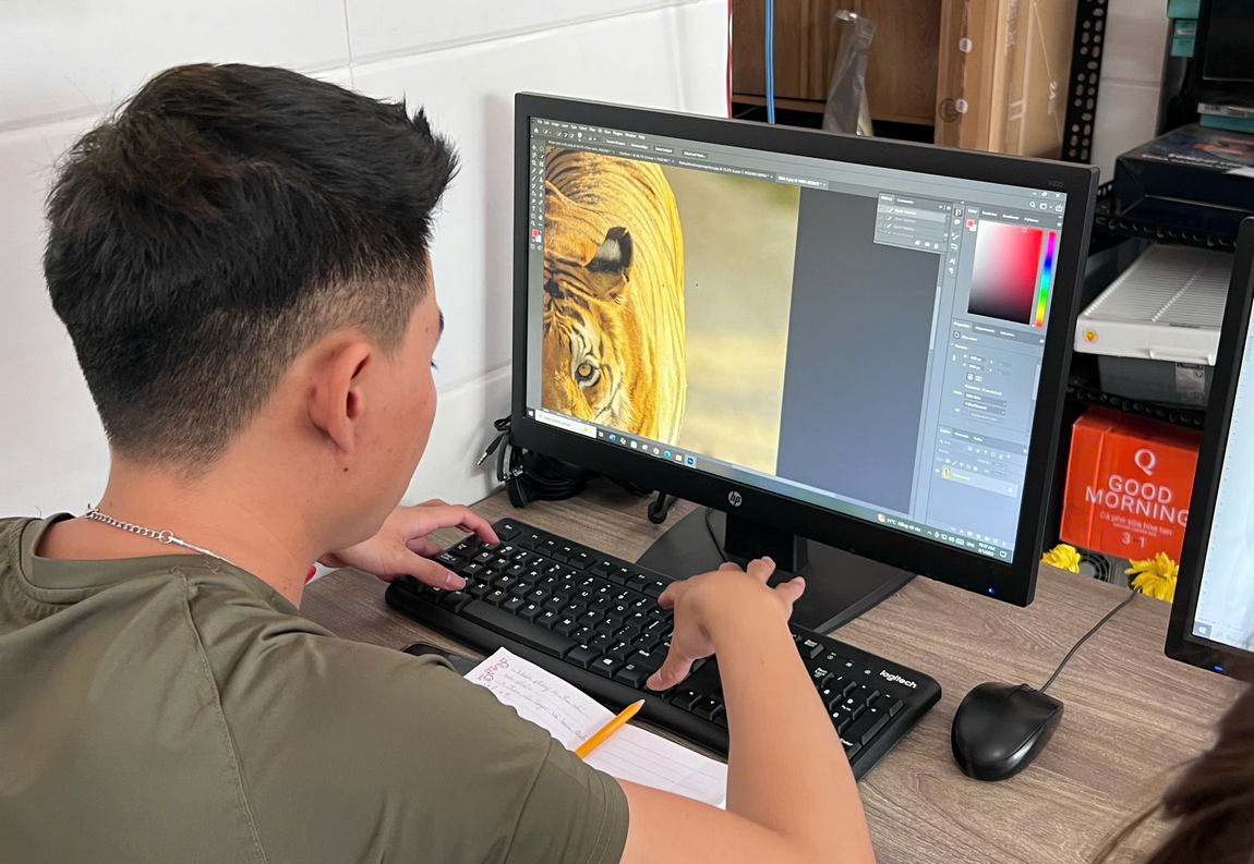 Nội Dung Cơ Bản Với Các Phầm Mềm Trong Khóa Học Thiết Kế Đồ Họa